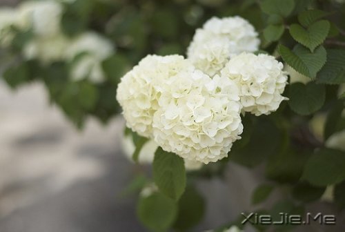 不要嘲笑别人的疤,那只是你没有经历过的伤 (7)