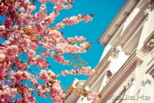 幸福应该是来得巧,而不是来得多 (3)