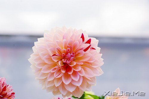 幸福,就是春夏秋冬,悠然自在 (8)