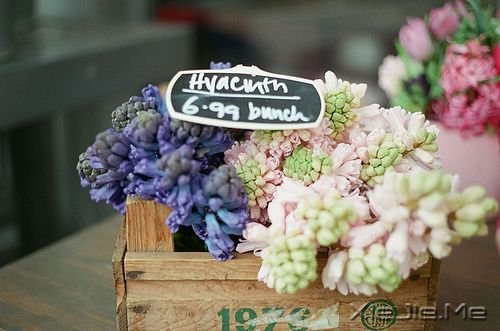 һ·�ж�����������ϧ (9)